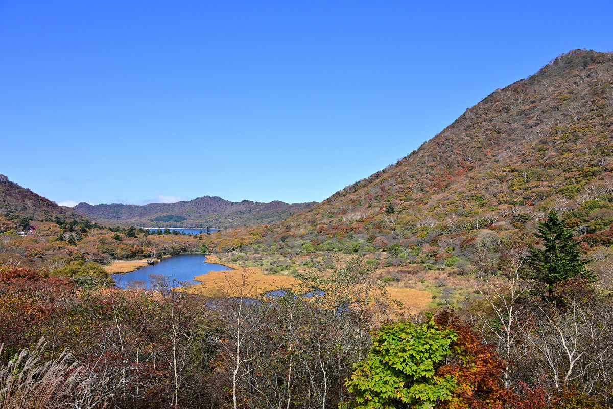 �T���l�C��05