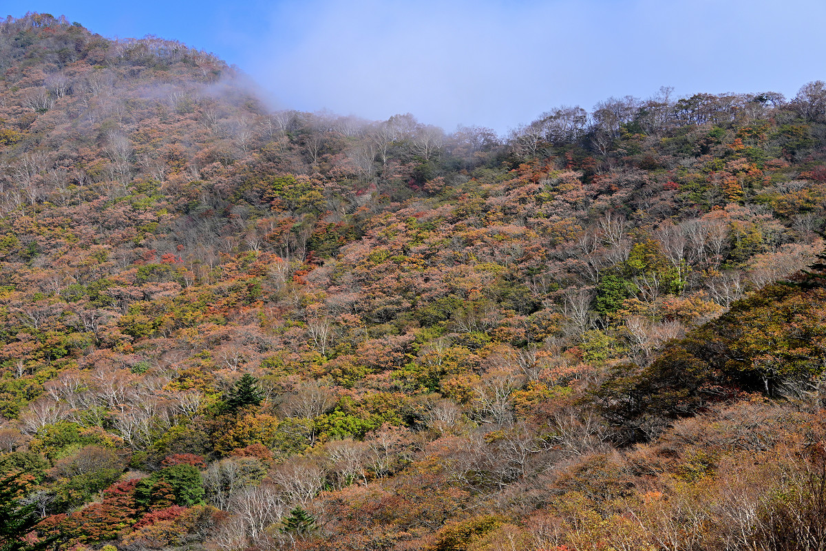 �T���l�C��06