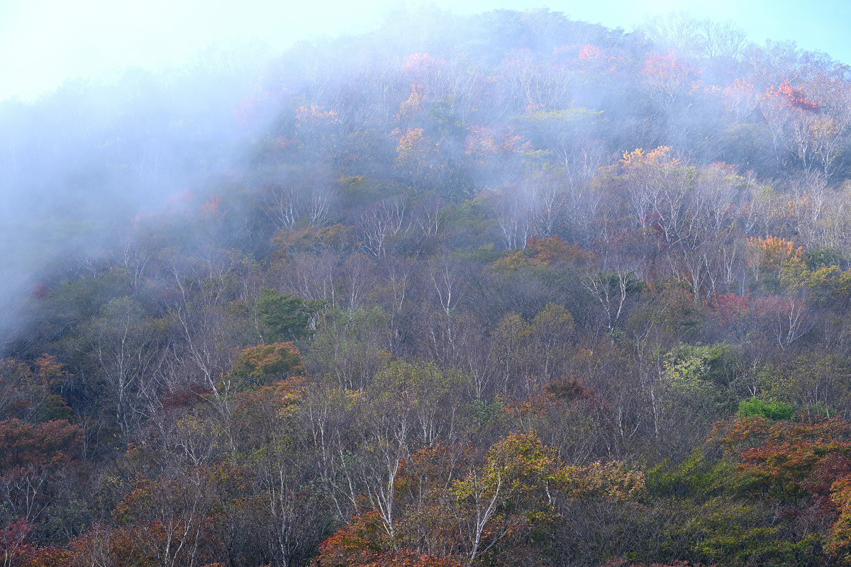 �T���l�C��07