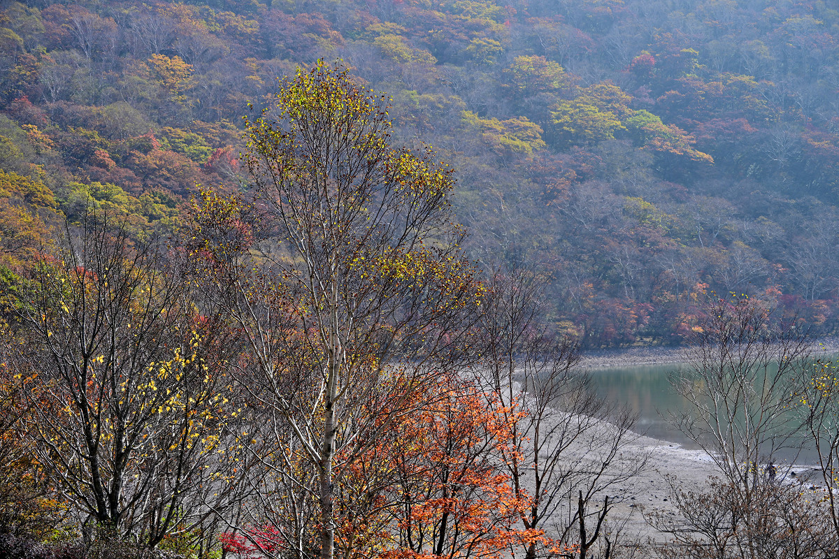 �T���l�C��08