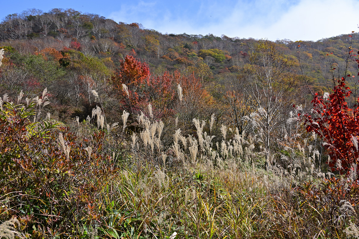 �T���l�C��09