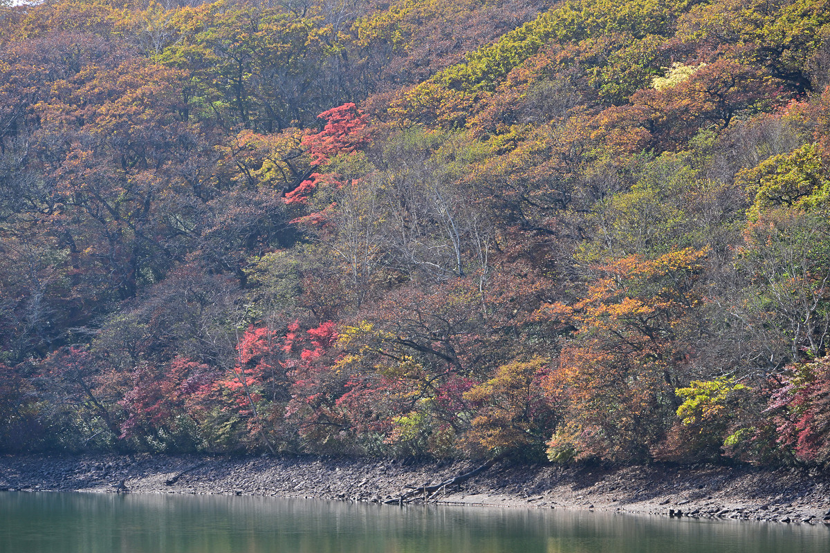 �T���l�C��11