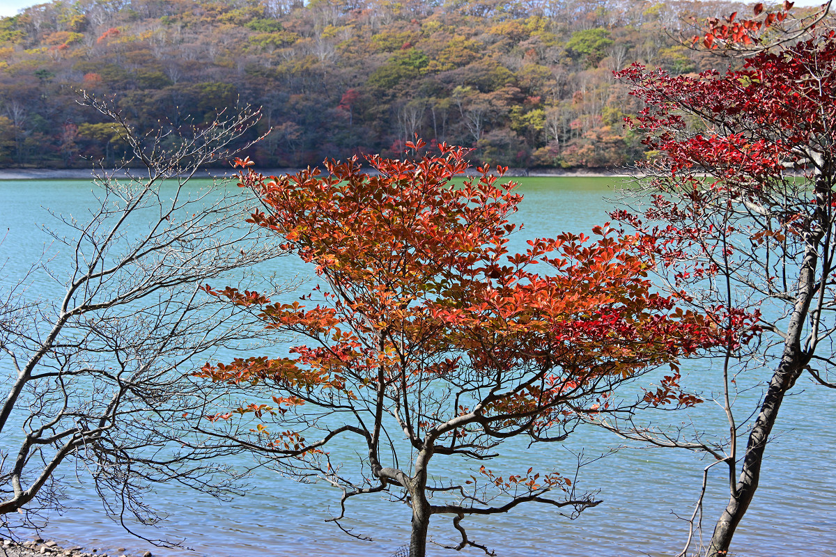 �T���l�C��13