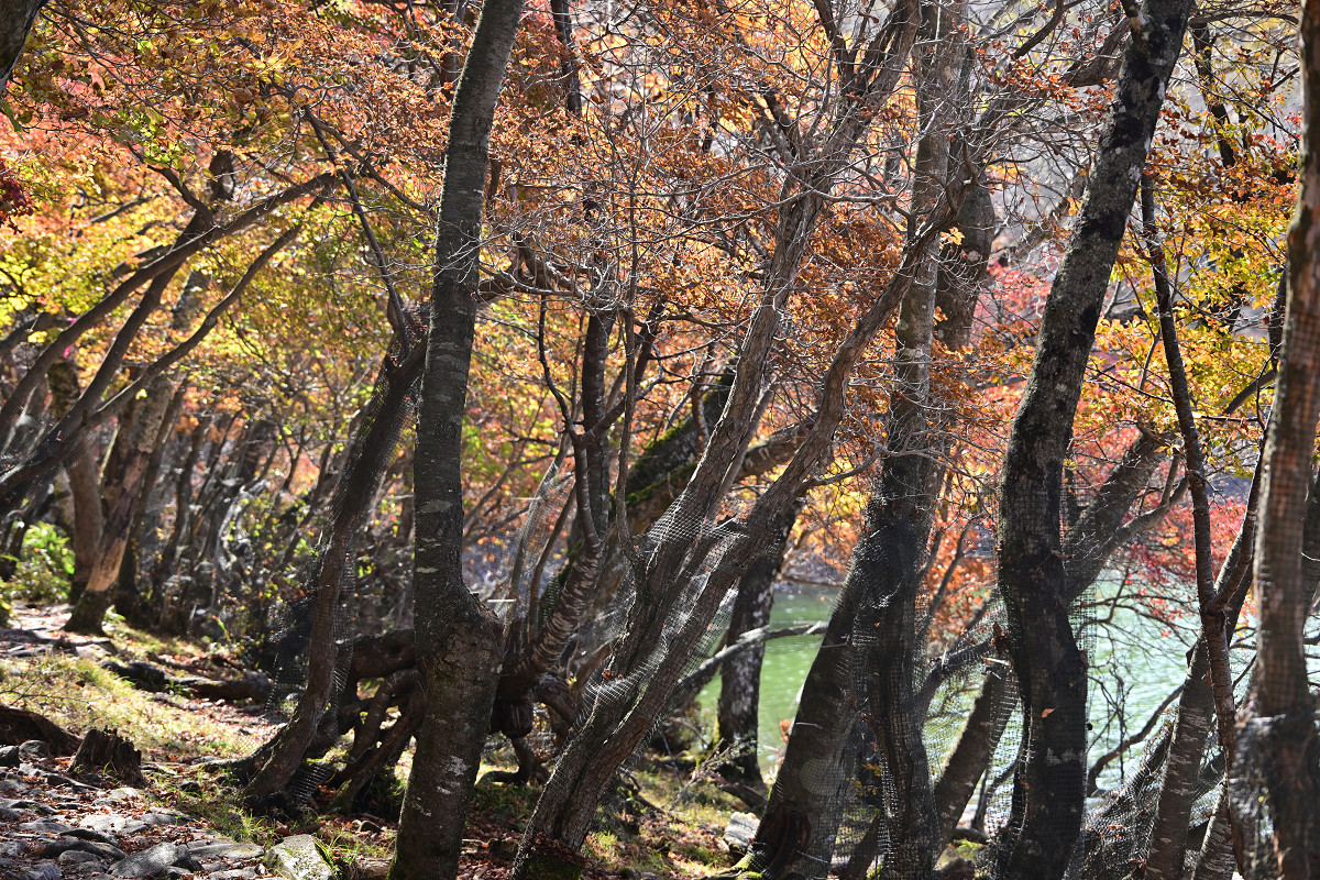 �T���l�C��14