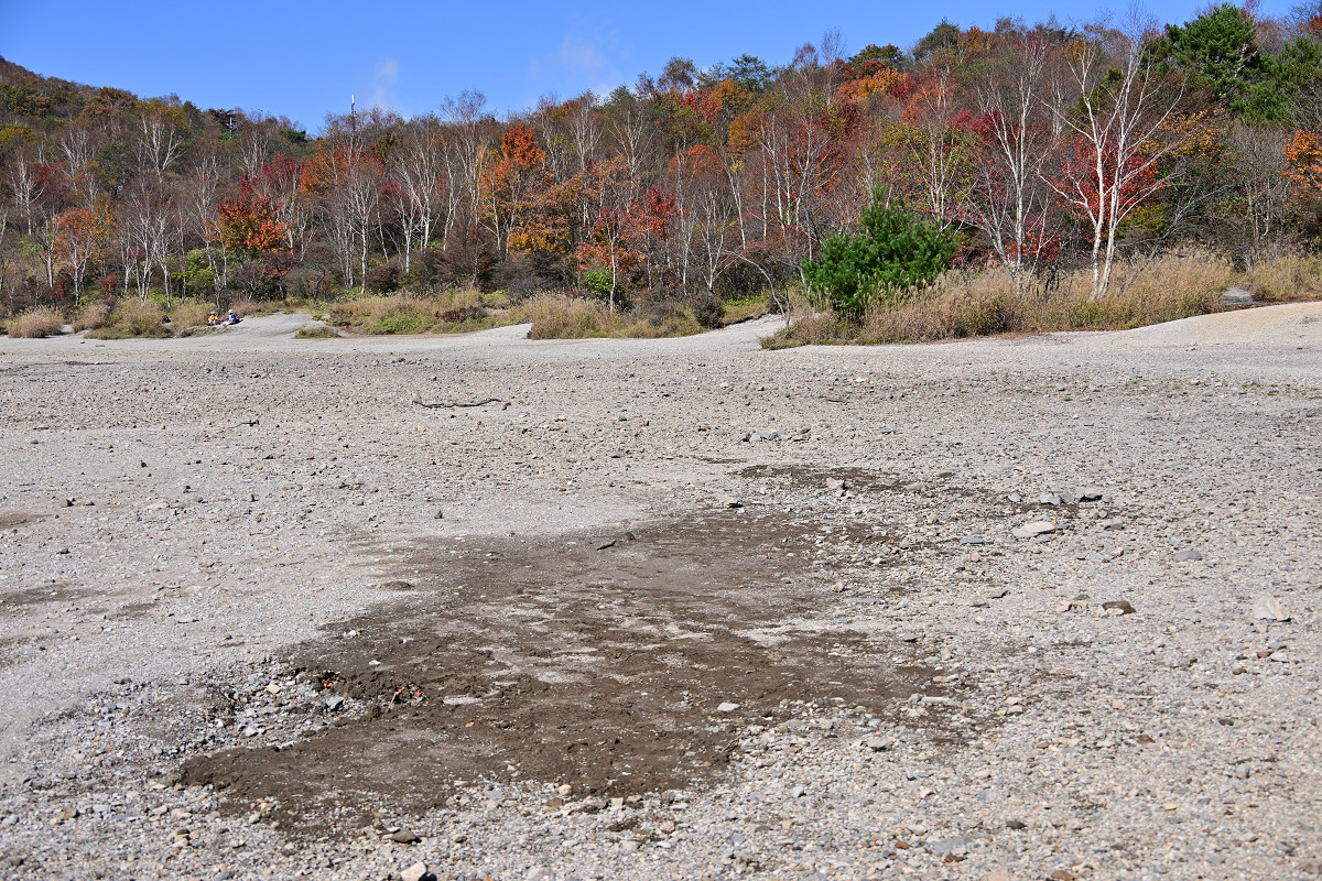 �T���l�C��16