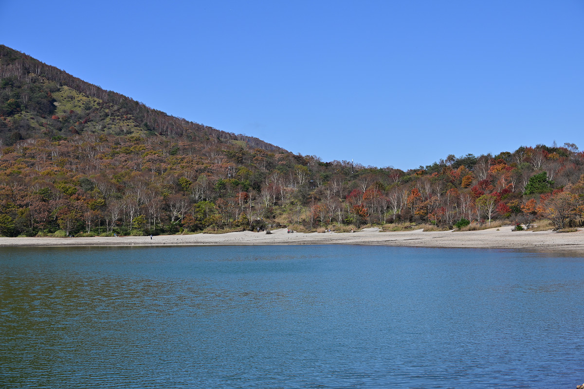 �T���l�C��17