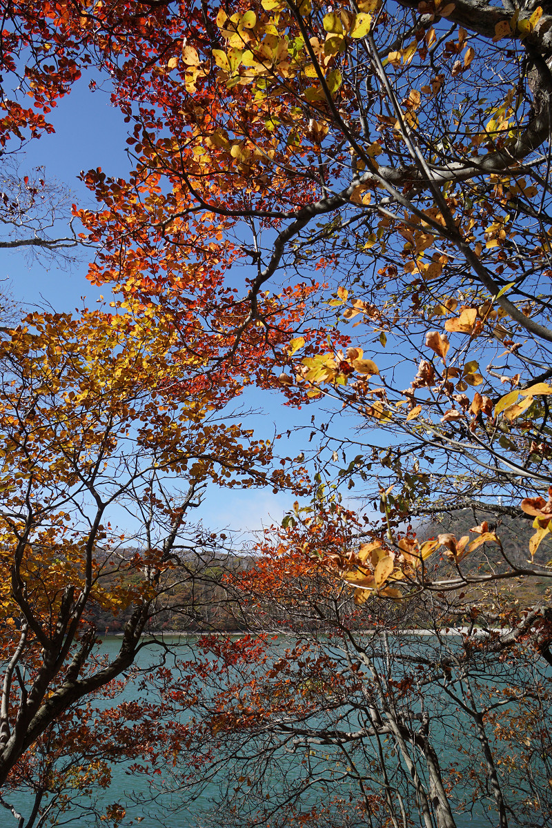 �T���l�C��18