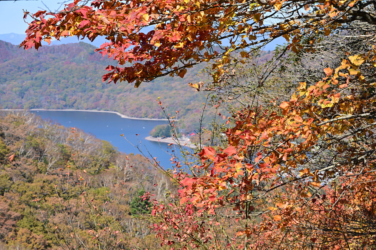 �T���l�C��19