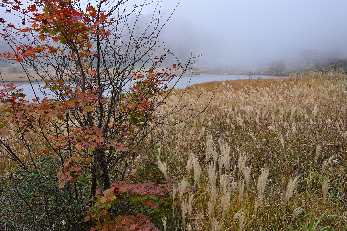 �T���l�C��20