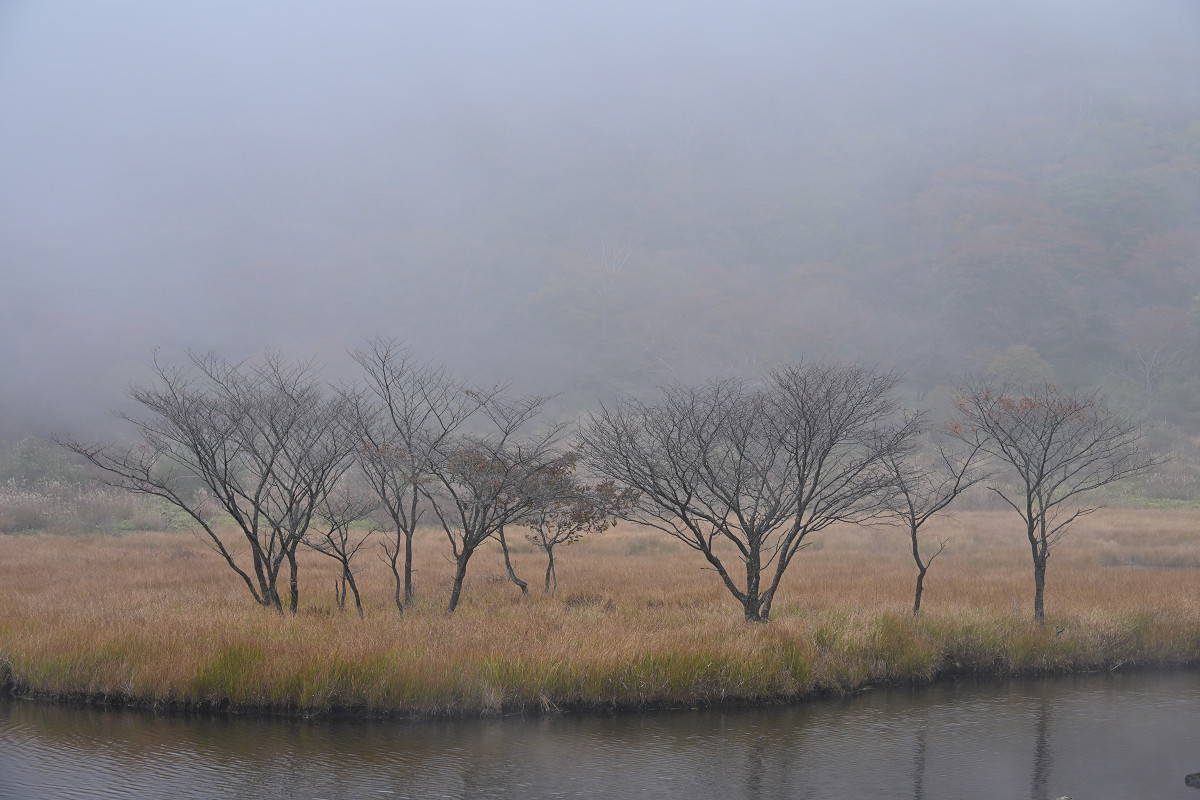 �T���l�C��22