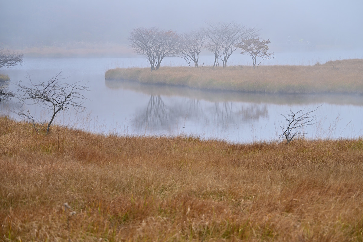 �T���l�C��24