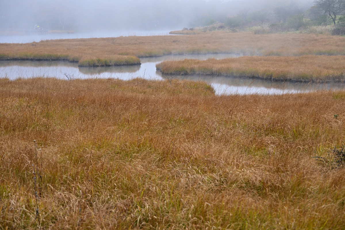 �T���l�C��25