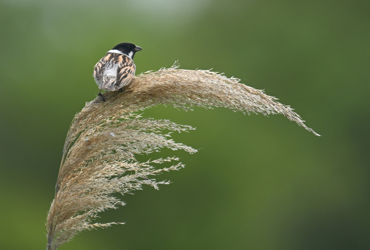 �T���l�C��05