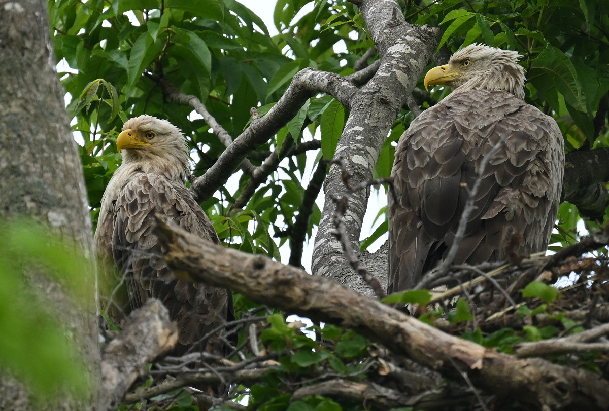 �T���l�C��07