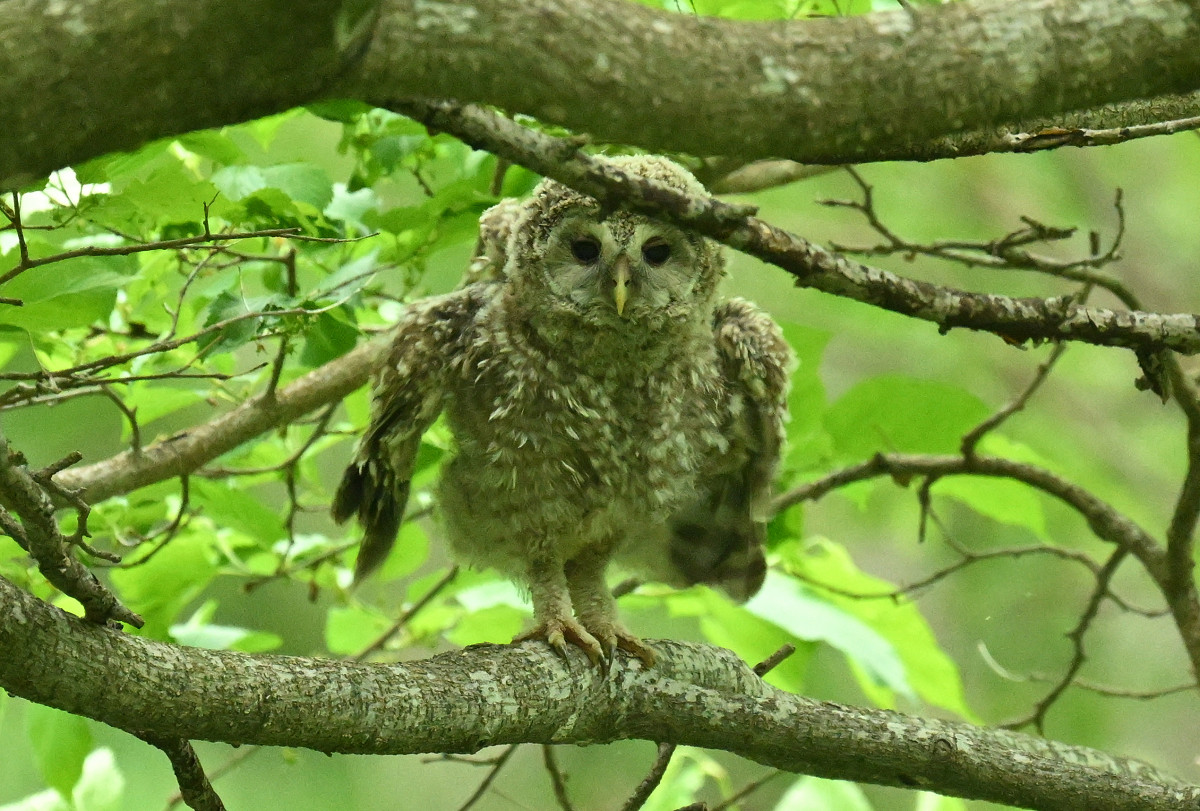 �T���l�C��14