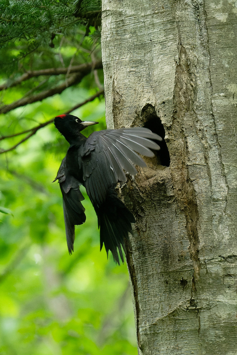 �T���l�C��19