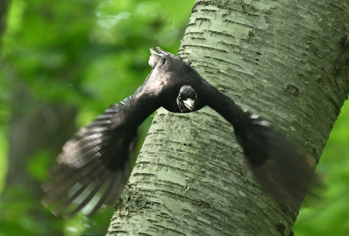 �T���l�C��23