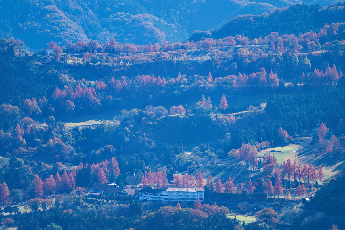 �T���l�C��05