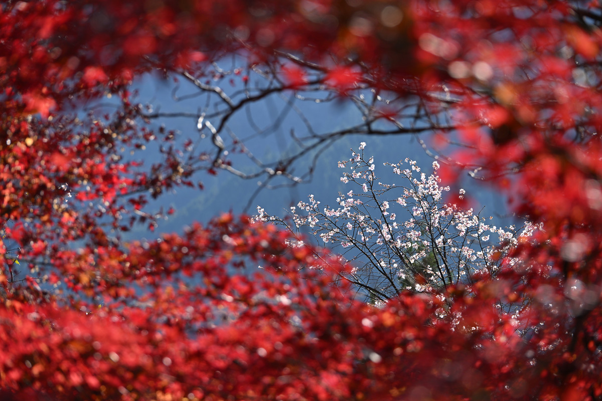 �T���l�C��21