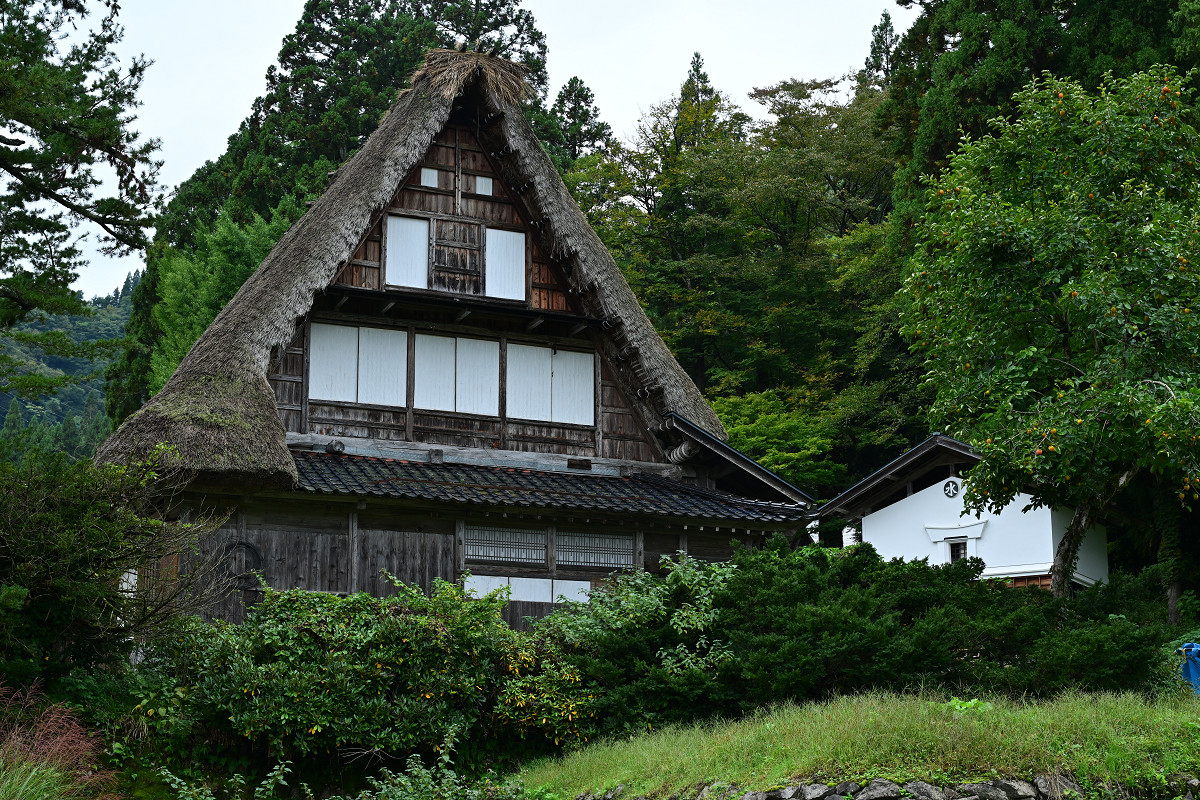 �T���l�C��04