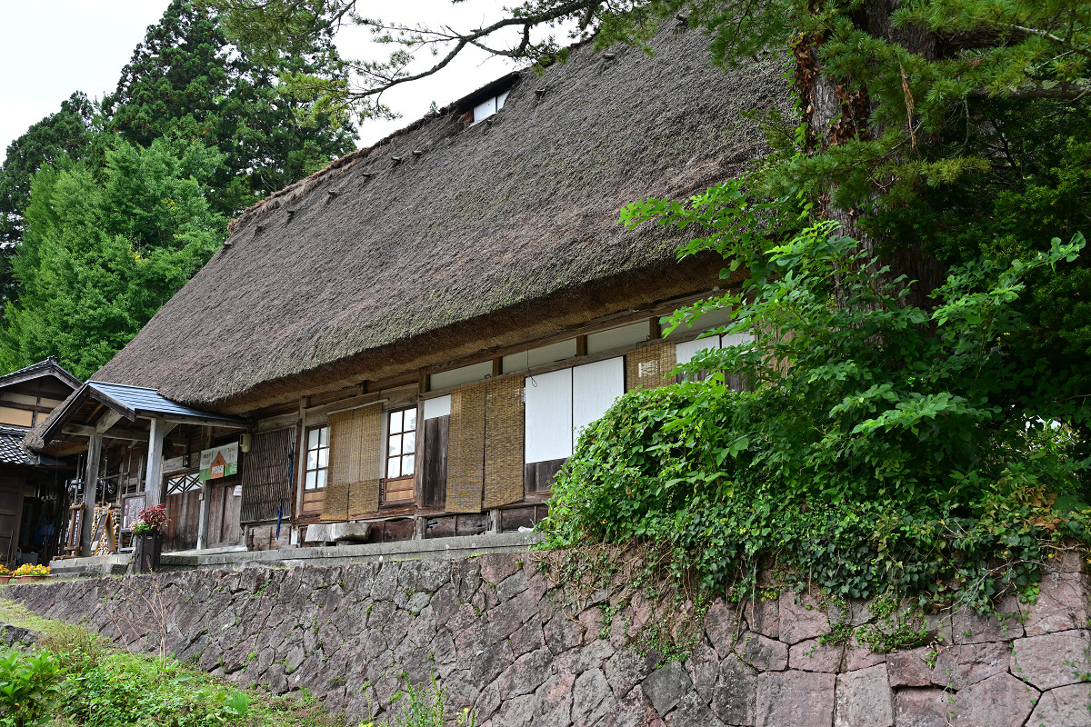 �T���l�C��05