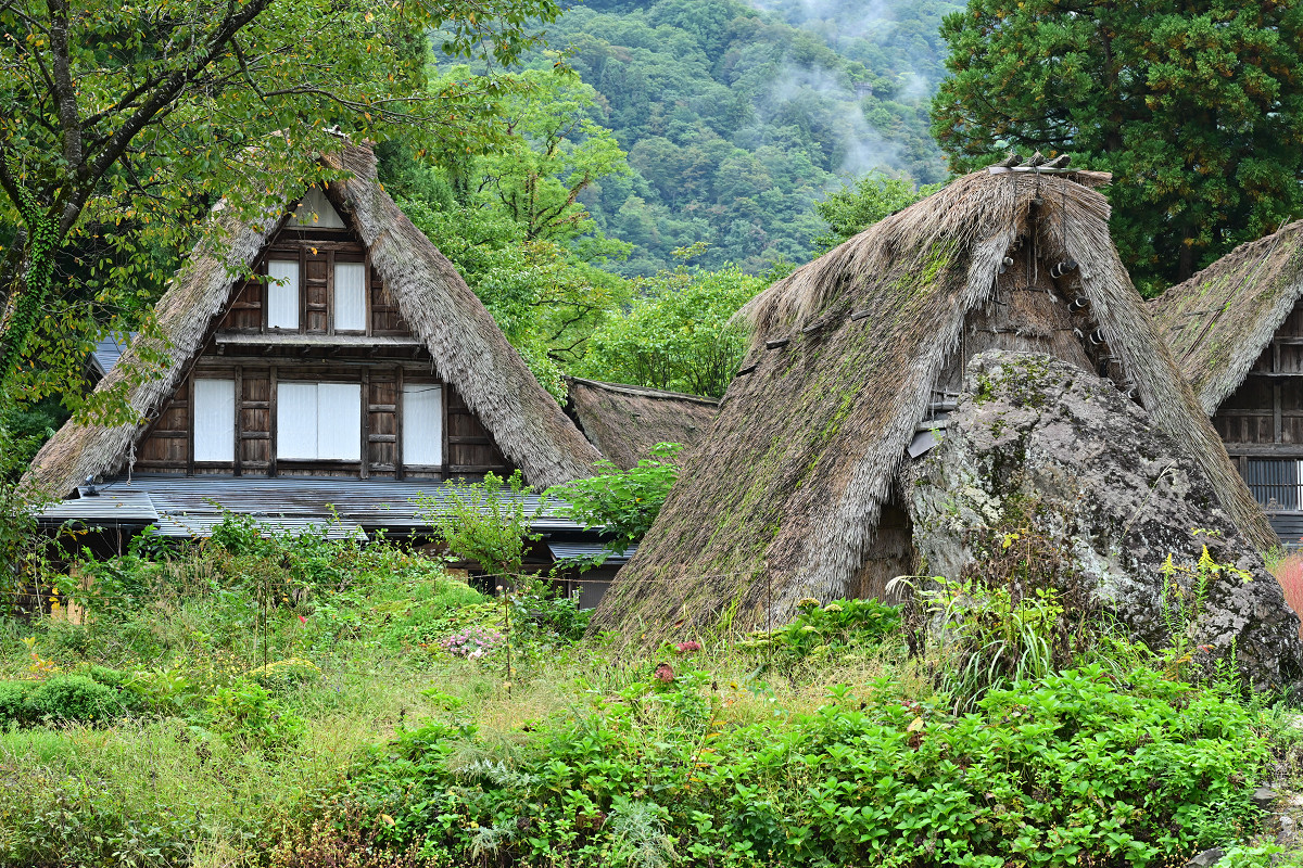 �T���l�C��06