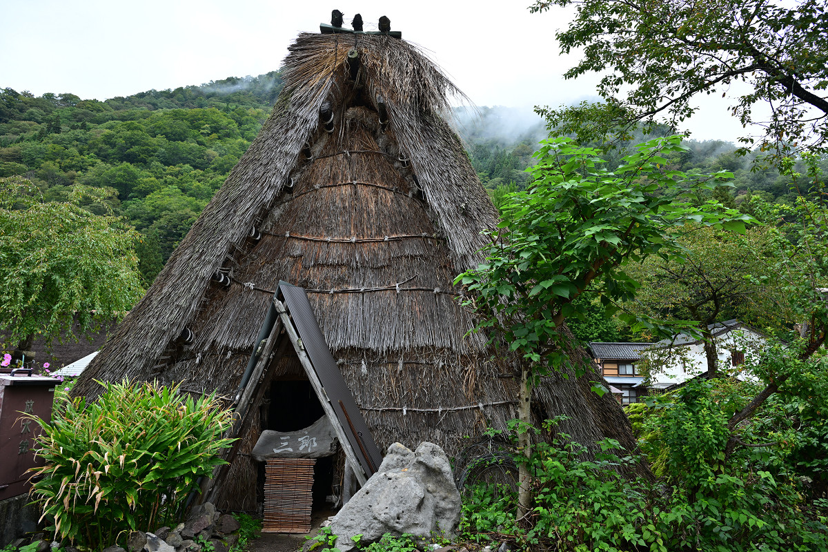 �T���l�C��07