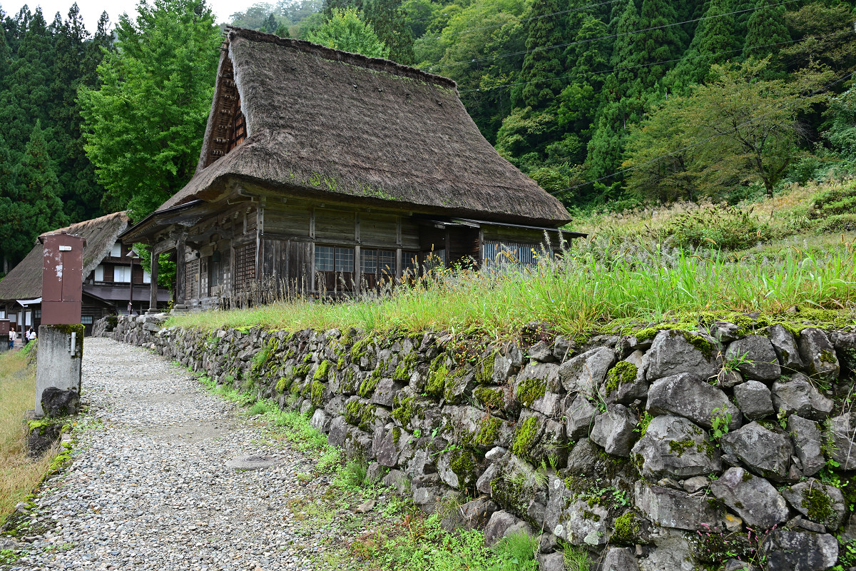 �T���l�C��10