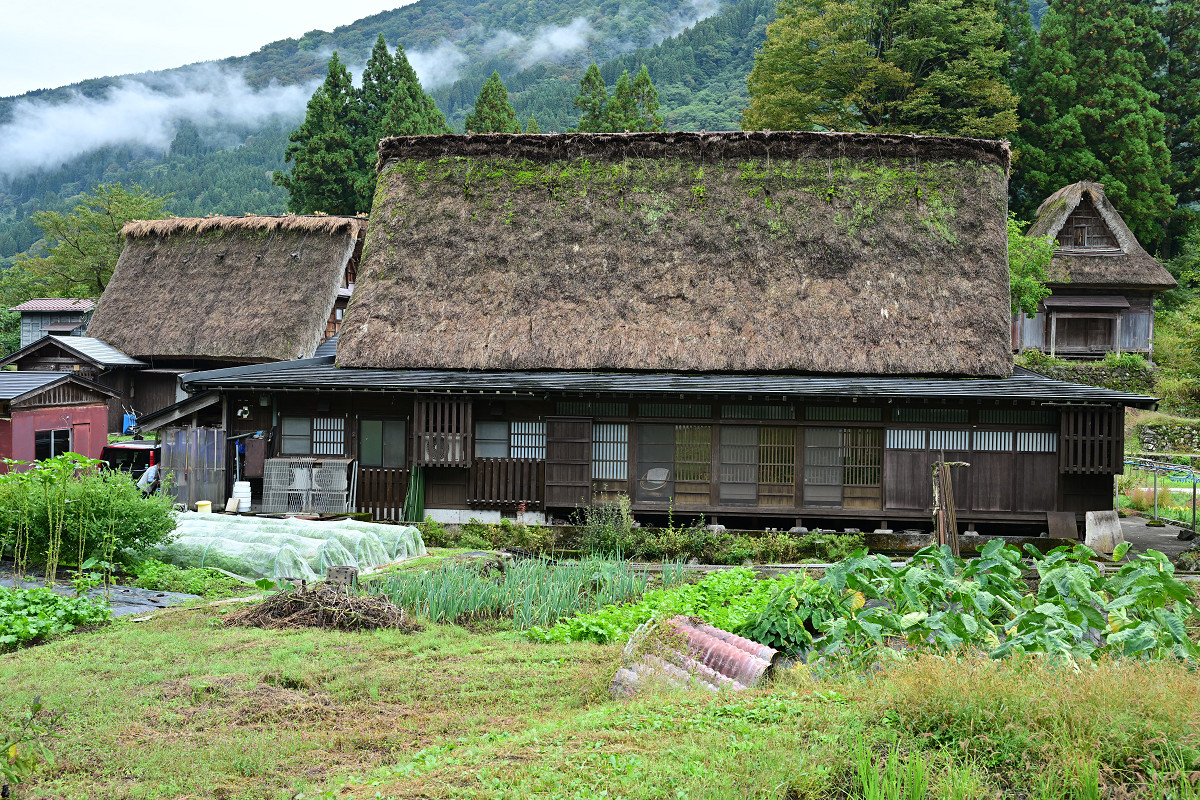 �T���l�C��11