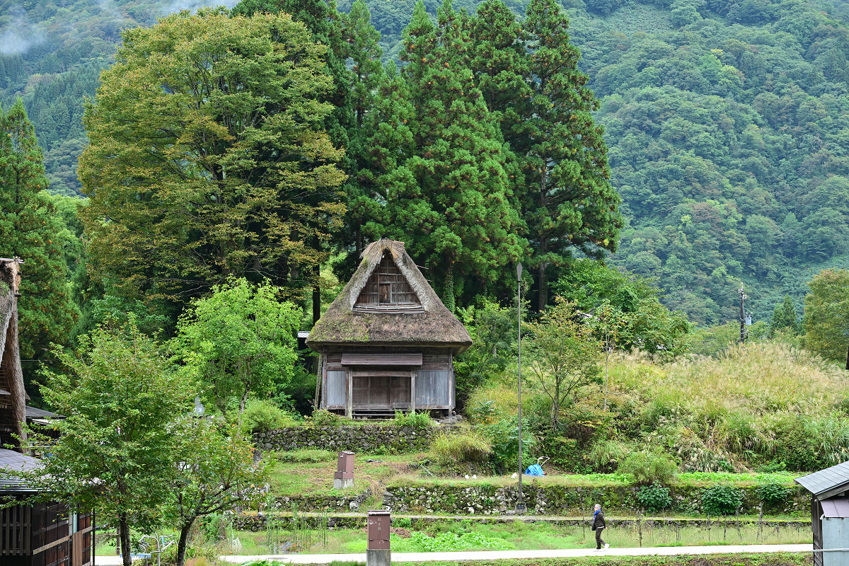 �T���l�C��12