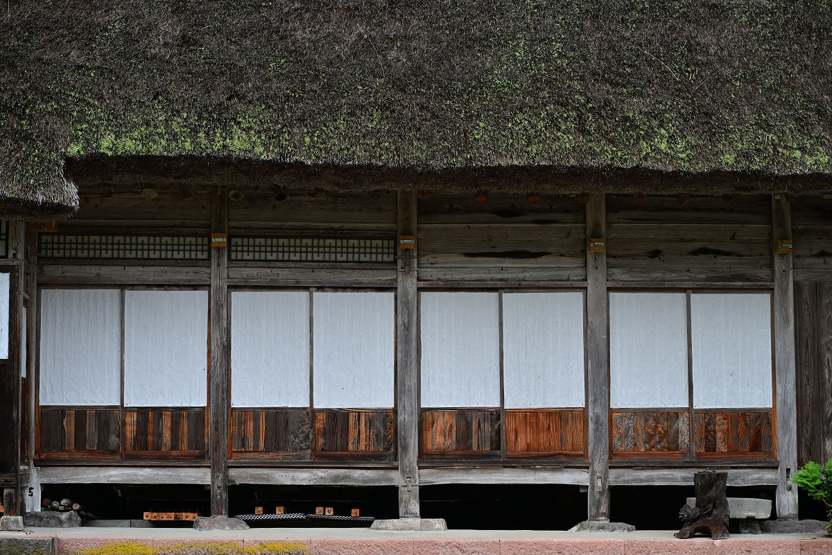 �T���l�C��15