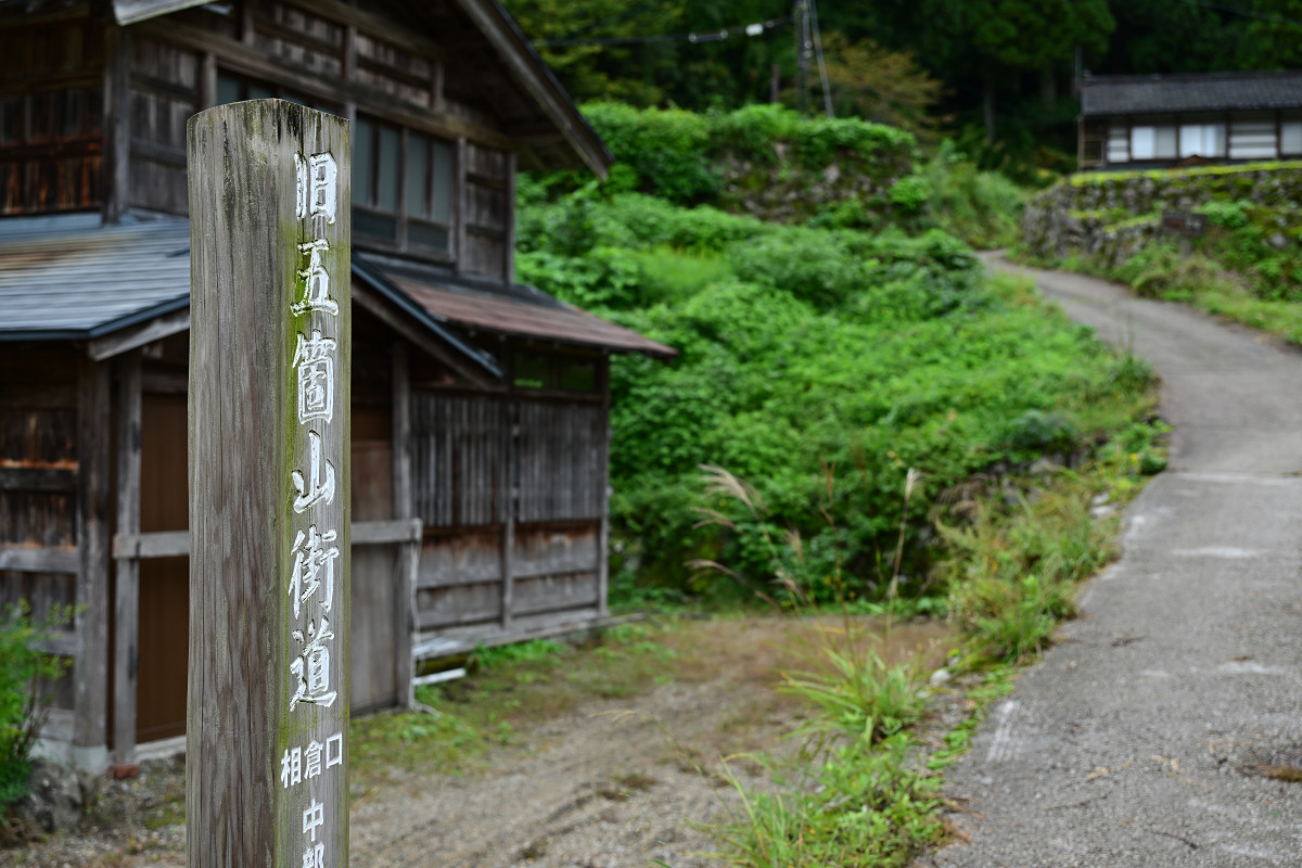 �T���l�C��17