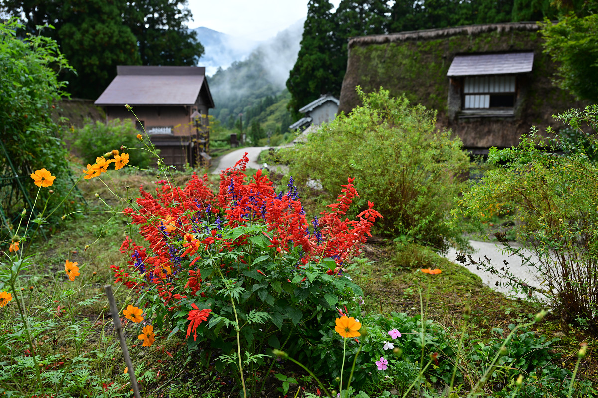 �T���l�C��18