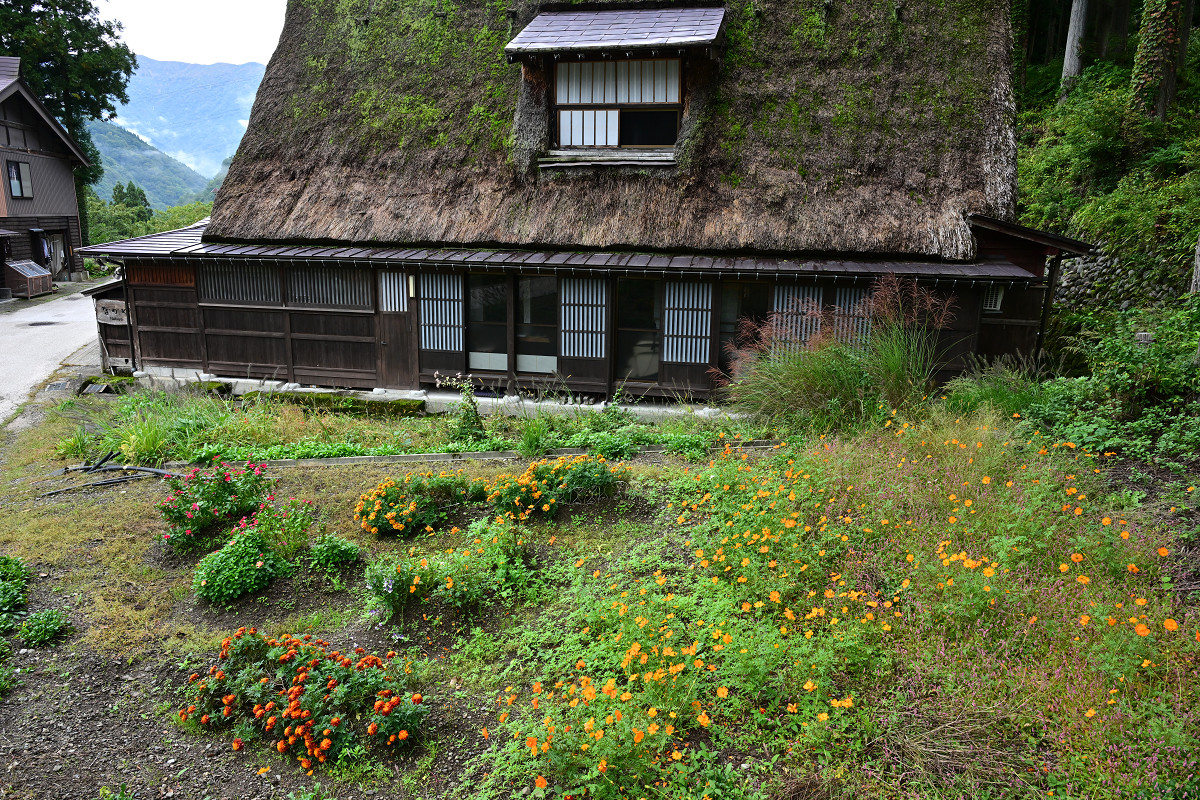 �T���l�C��19