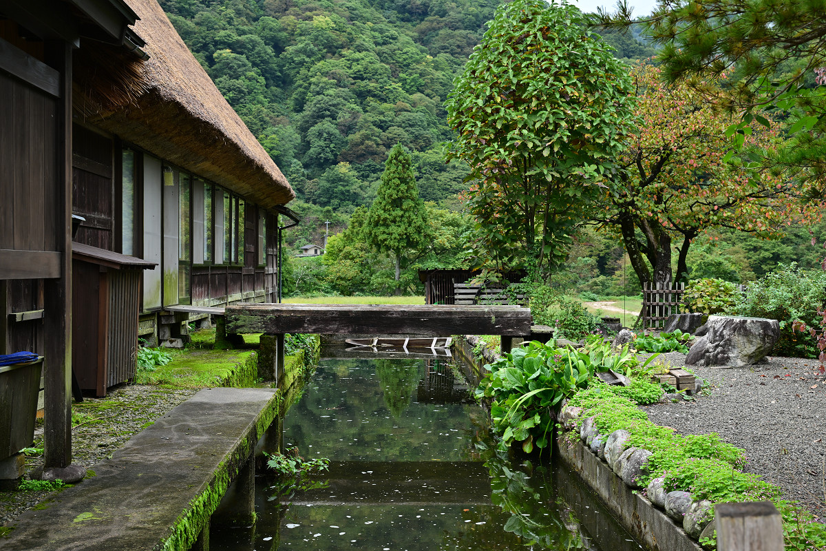 �T���l�C��23