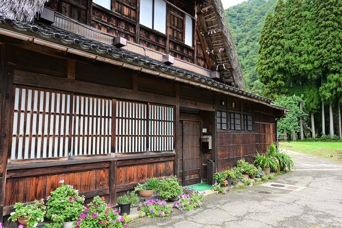 �T���l�C��24