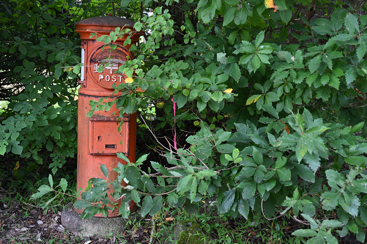 �T���l�C��26