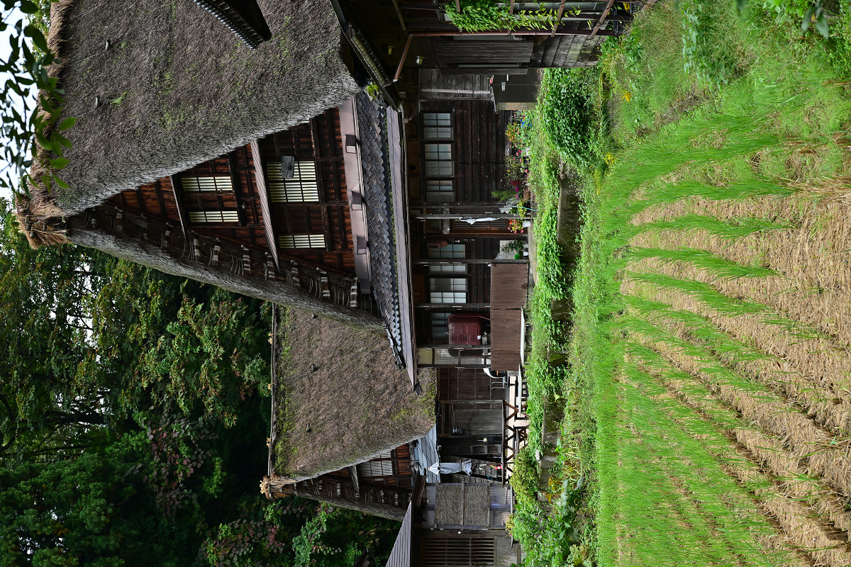 �T���l�C��28