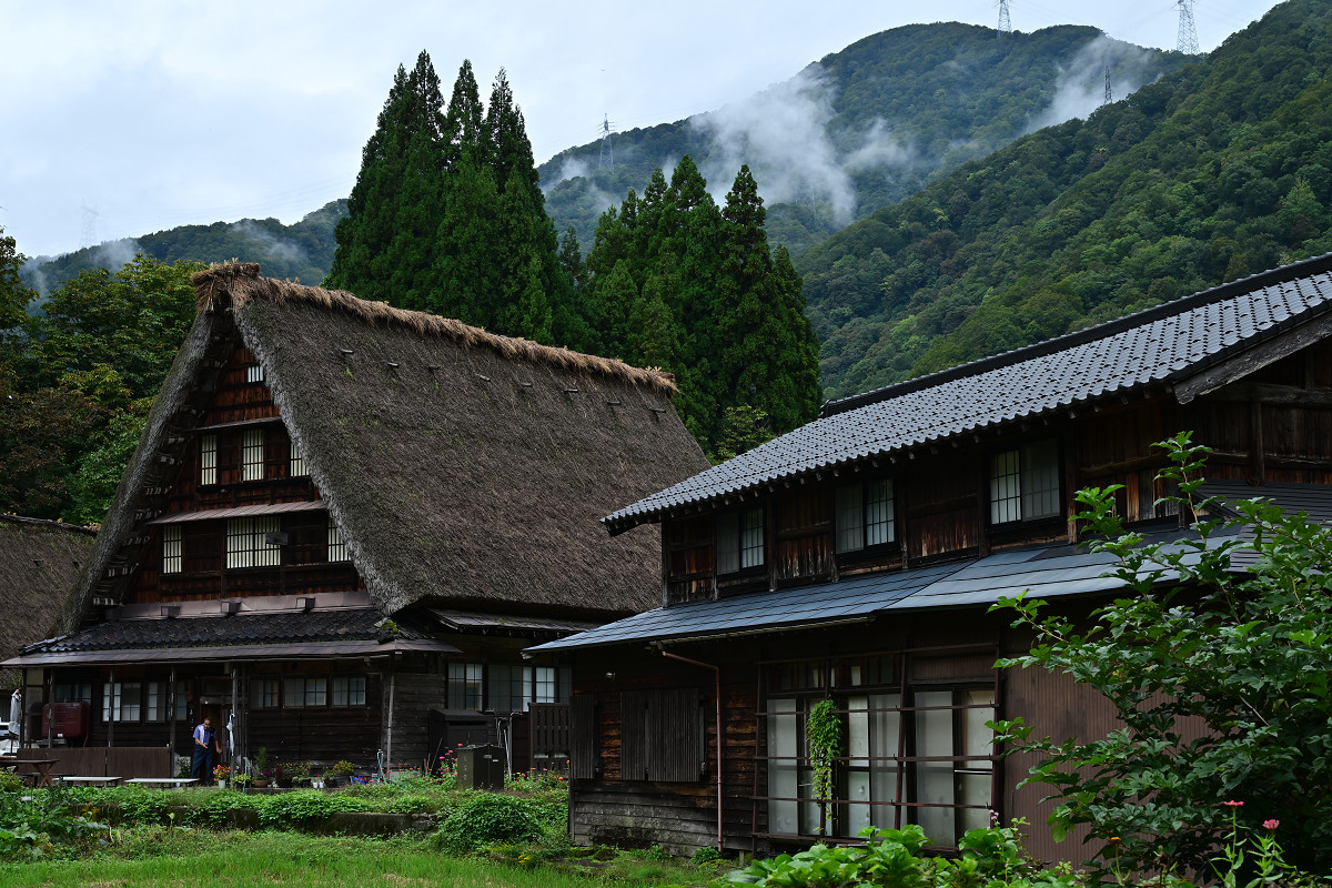 �T���l�C��29