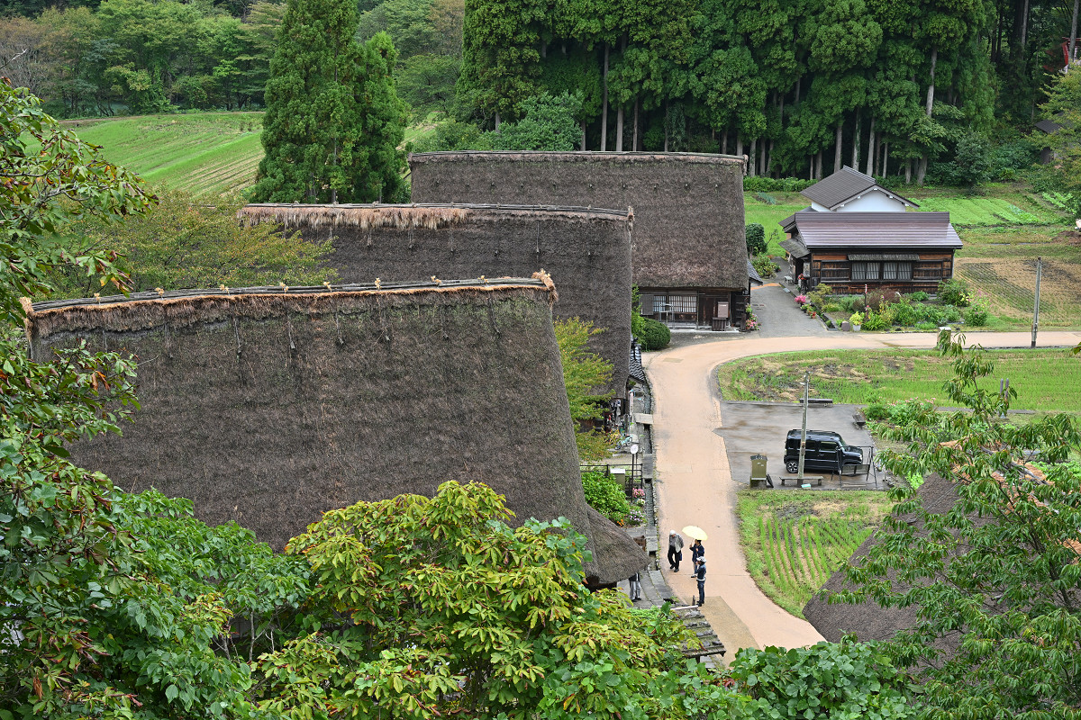 �T���l�C��30