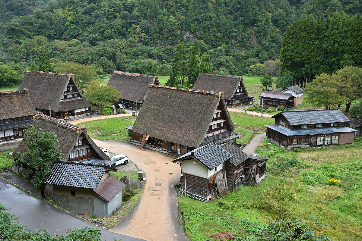 �T���l�C��31