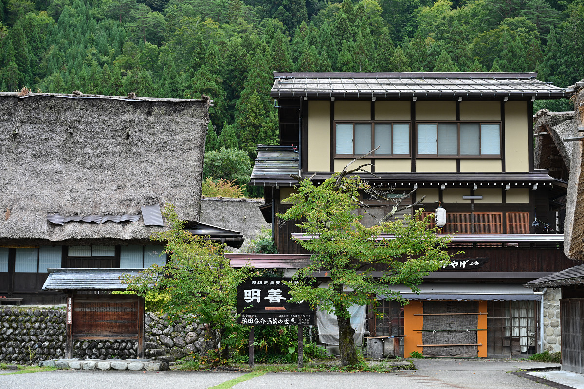 �T���l�C��36