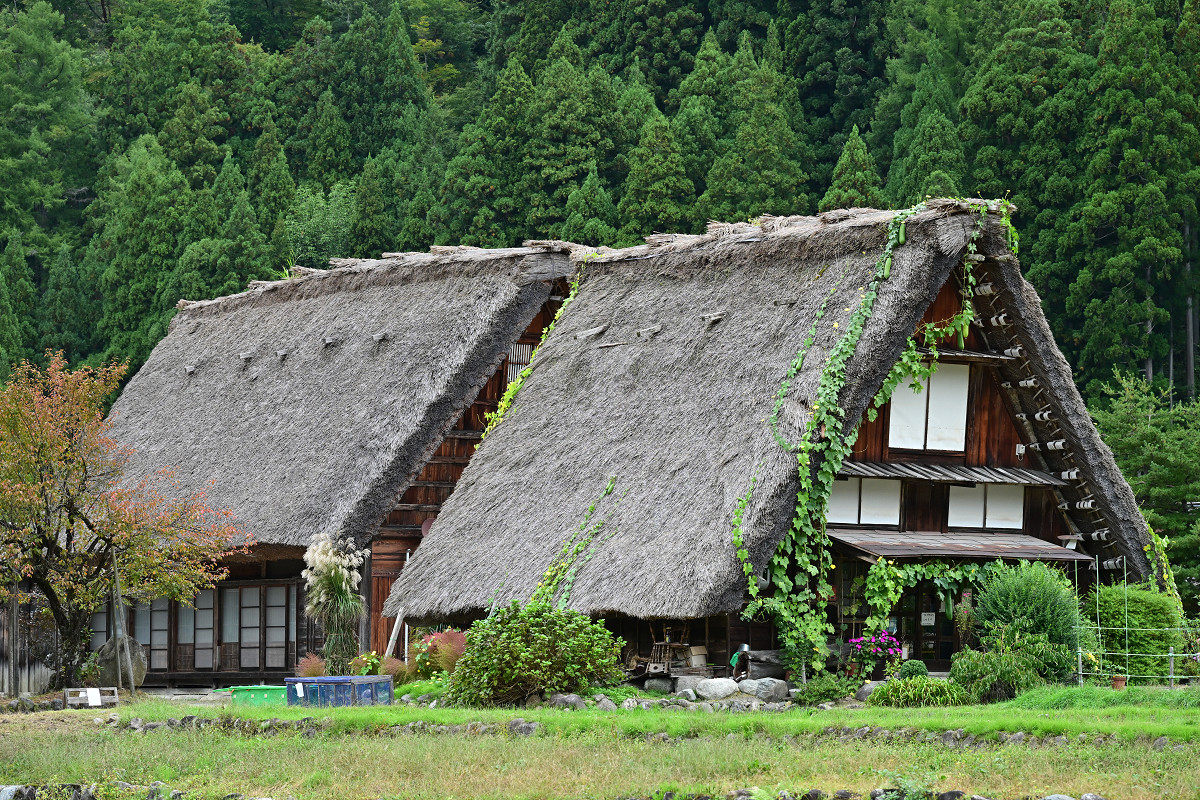 �T���l�C��37