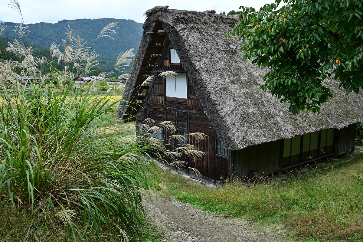 �T���l�C��40