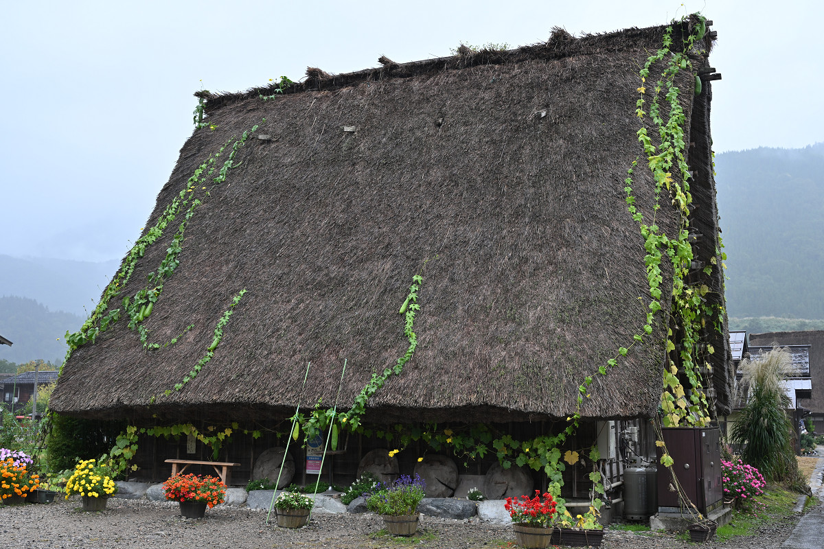 �T���l�C��44