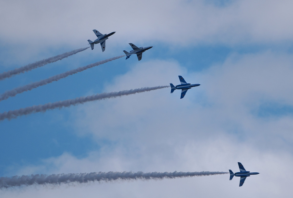 �T���l�C��24