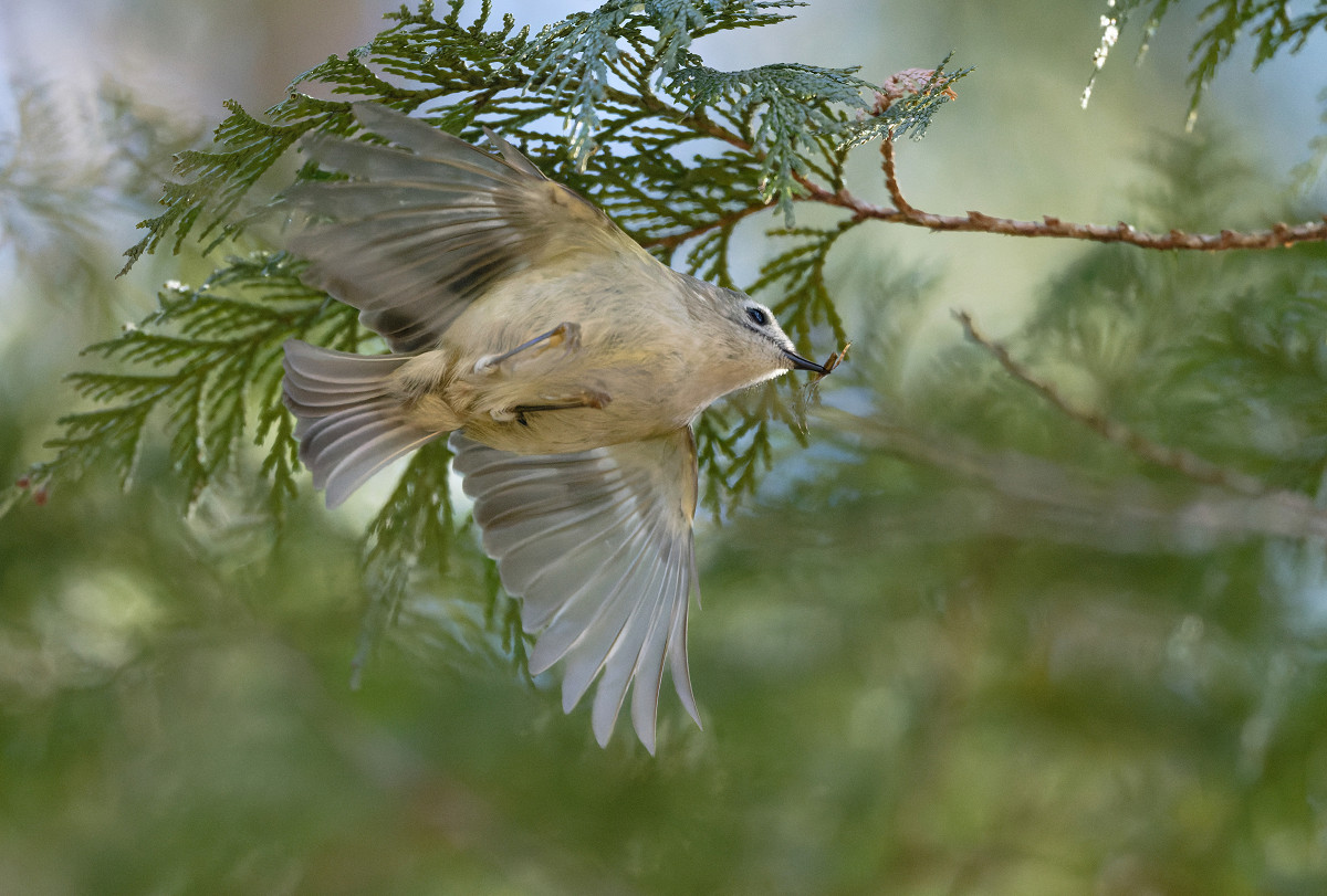 �T���l�C��05