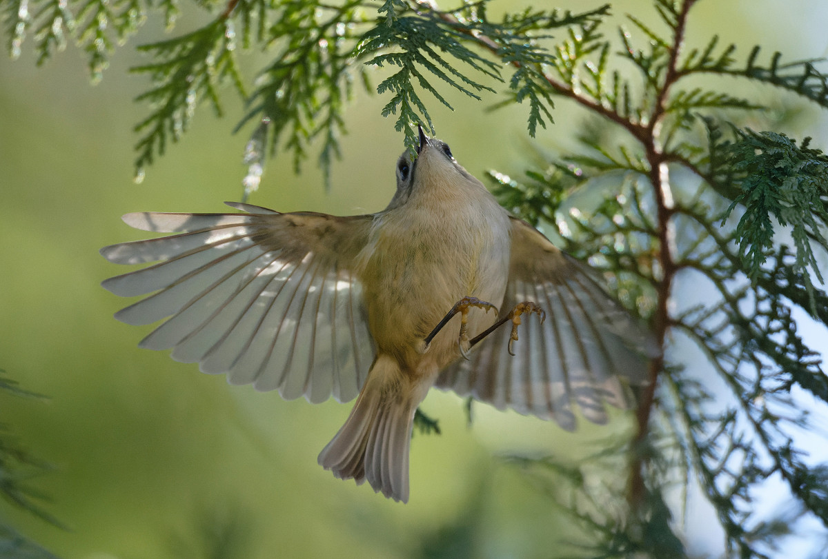 �T���l�C��07