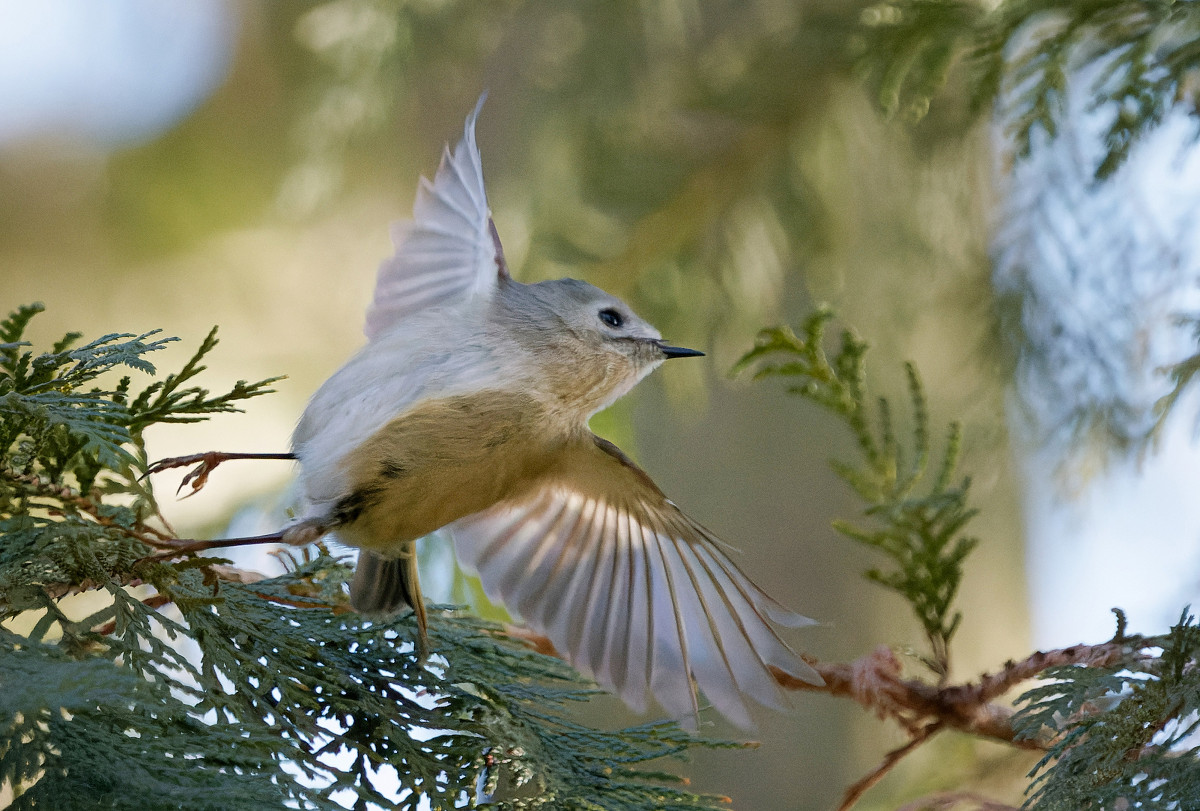 �T���l�C��27