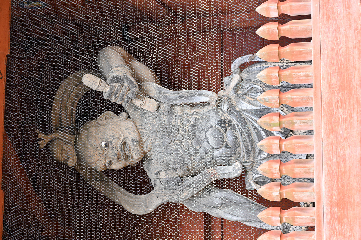 �T���l�C��03